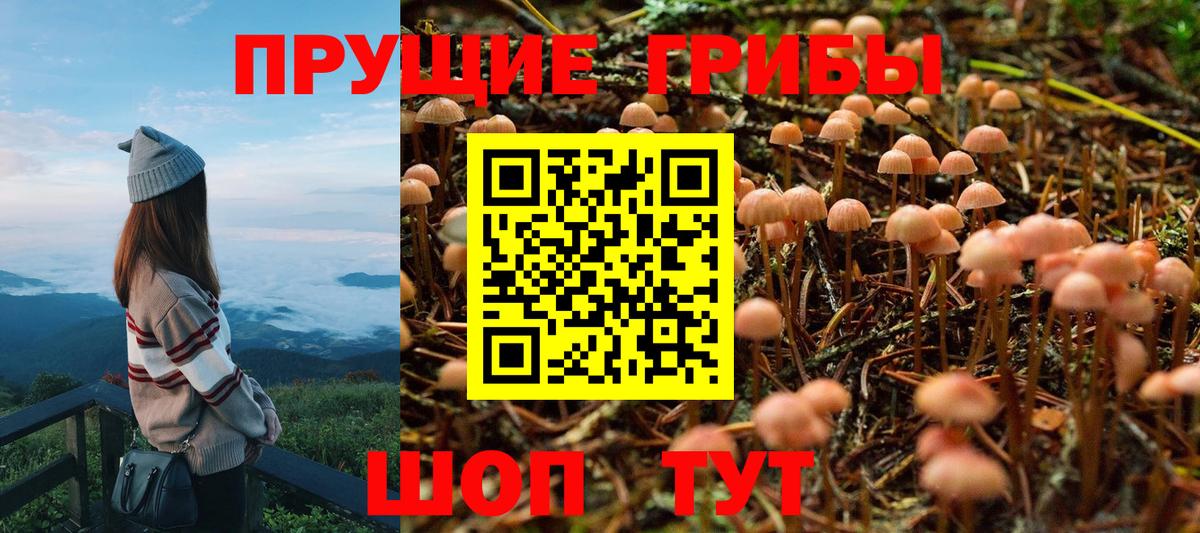 Галлюциногенные грибы Psilocybe Донской